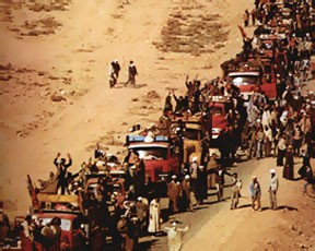 les marocine